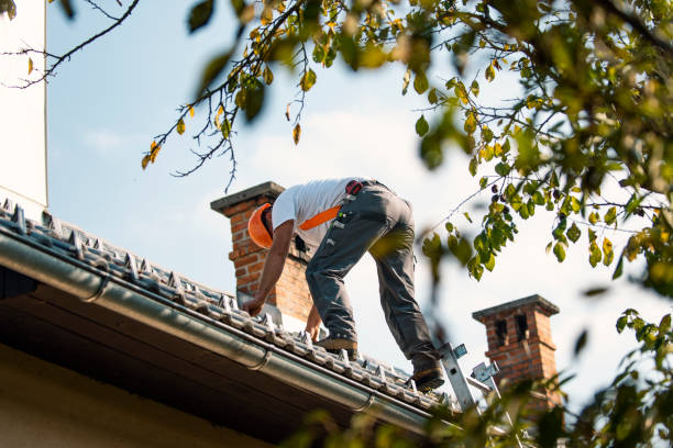 Best Sheet Metal Roofing  in Franklin, OH